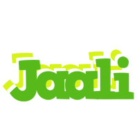 Jaali picnic logo