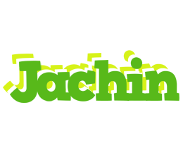 Jachin picnic logo