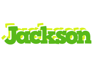 Jackson picnic logo