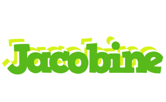 Jacobine picnic logo