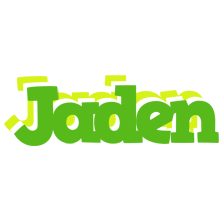 Jaden picnic logo