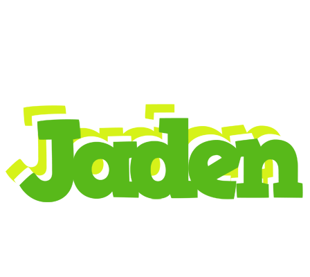 Jaden picnic logo
