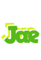 Jae picnic logo