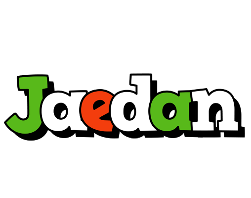 Jaedan venezia logo