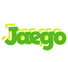 Jaego picnic logo