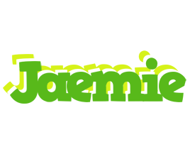 Jaemie picnic logo