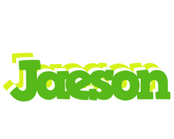 Jaeson picnic logo