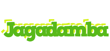 Jagadamba picnic logo