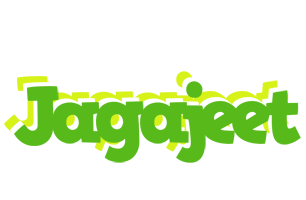 Jagajeet picnic logo