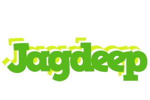 Jagdeep picnic logo