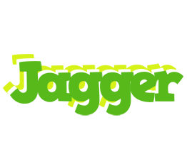 Jagger picnic logo