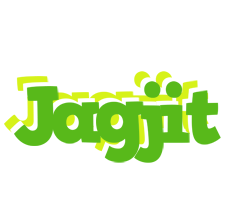 Jagjit picnic logo