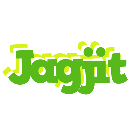 Jagjit picnic logo