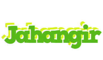 Jahangir picnic logo