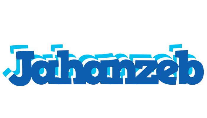 Jahanzeb business logo