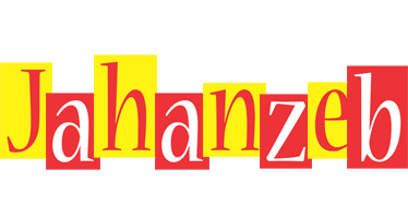 Jahanzeb errors logo
