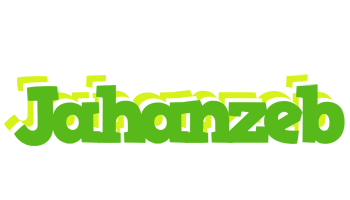 Jahanzeb picnic logo