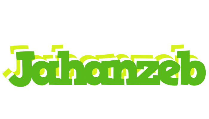 Jahanzeb picnic logo