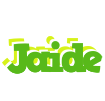 Jaide picnic logo