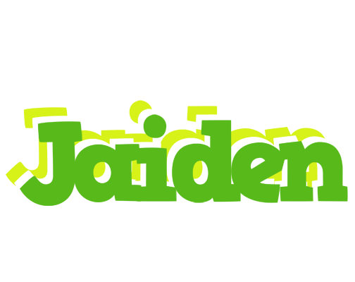 Jaiden picnic logo