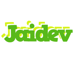 Jaidev picnic logo