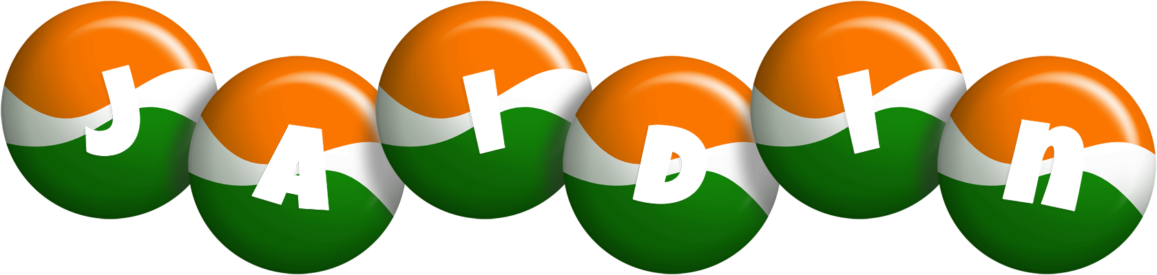 Jaidin india logo