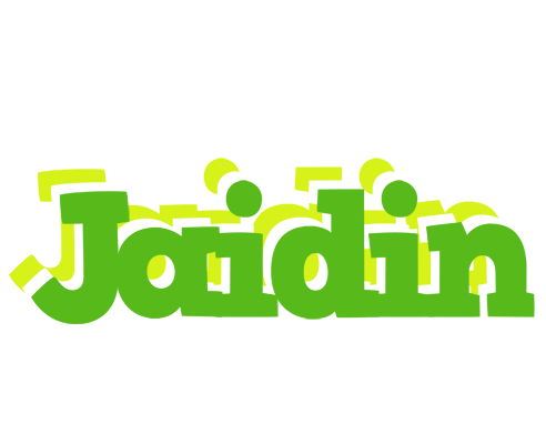 Jaidin picnic logo