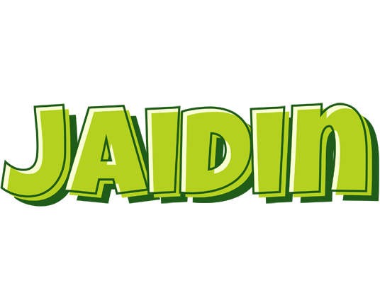 Jaidin summer logo