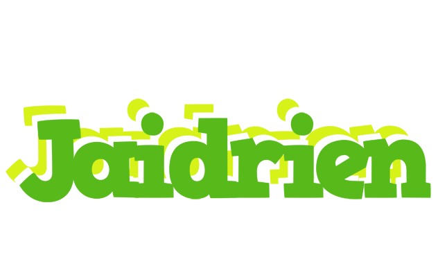 Jaidrien picnic logo