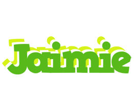 Jaimie picnic logo