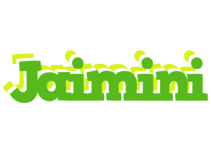 Jaimini picnic logo