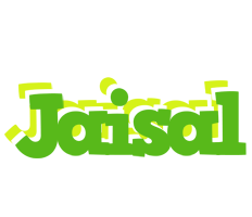 Jaisal picnic logo