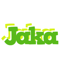 Jaka picnic logo