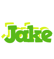 Jake picnic logo