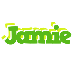 Jamie picnic logo