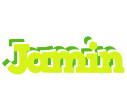 Jamin citrus logo