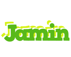 Jamin picnic logo