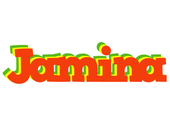 Jamina bbq logo