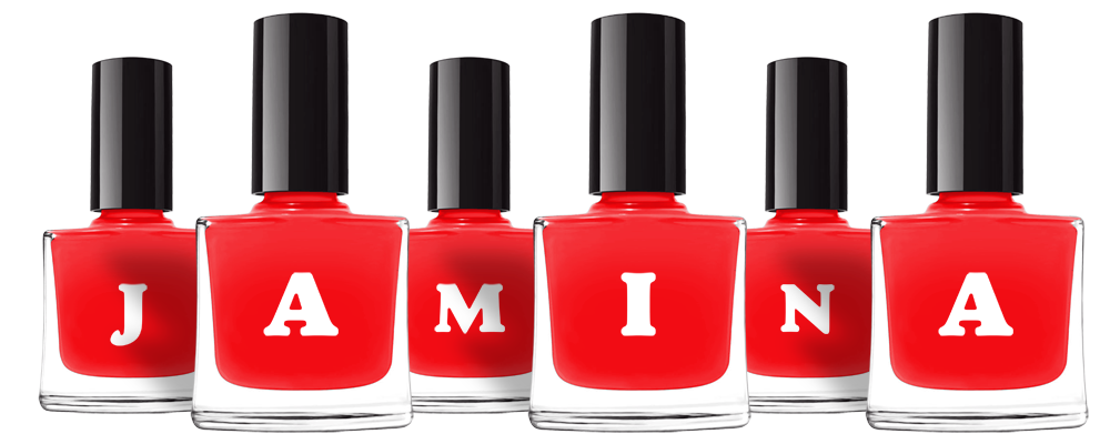 Jamina fashion logo
