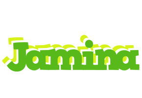 Jamina picnic logo