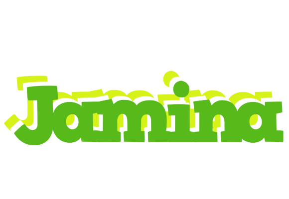 Jamina picnic logo