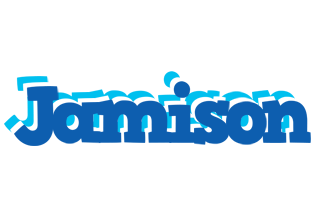 Jamison business logo