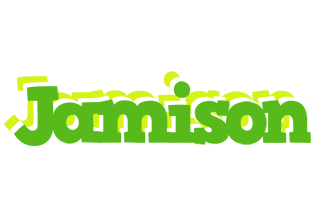 Jamison picnic logo