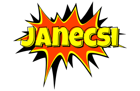 Janecsi bazinga logo