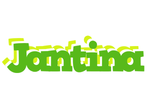 Jantina picnic logo