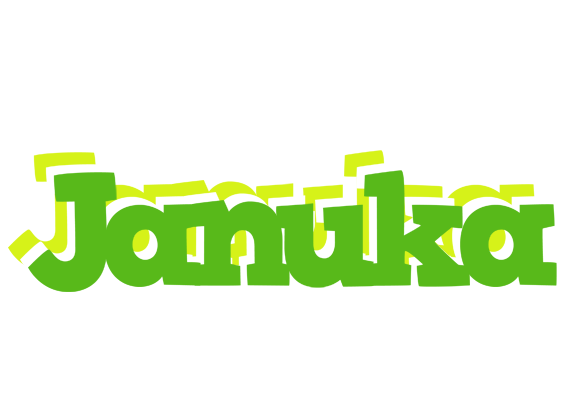 Januka picnic logo