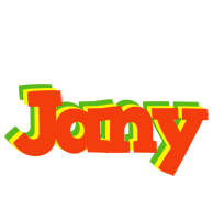 Jany bbq logo