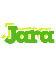 Jara picnic logo