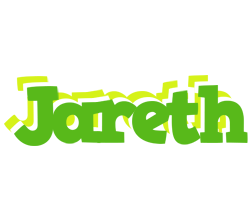 Jareth picnic logo