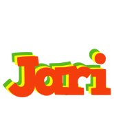 Jari bbq logo